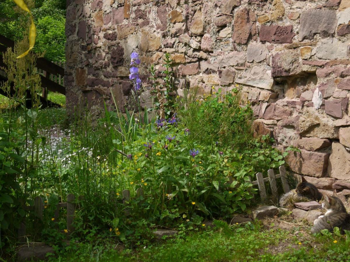Ferienwohnungen Am Campingplatz Trendelburg Bagian luar foto