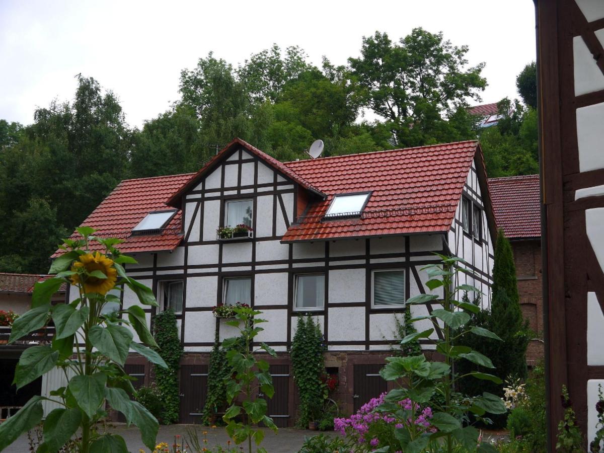 Ferienwohnungen Am Campingplatz Trendelburg Bagian luar foto